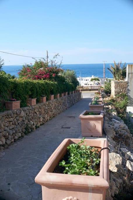 San Vito Apartament Polignano a Mare Bagian luar foto